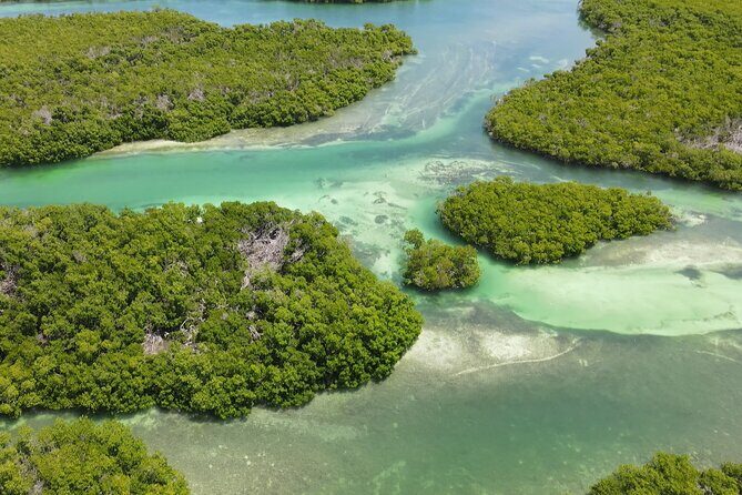Key West Hidden Sanctuary Mangrove Kayak Tour With Drinks - Stop 2: A Short Key West Seaport View Break (About 30 Minutes)