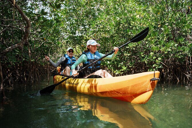 Key West Hidden Sanctuary Mangrove Kayak Tour With Drinks - Drinks, Menu Choices, and Vegetarian-Friendly Planning