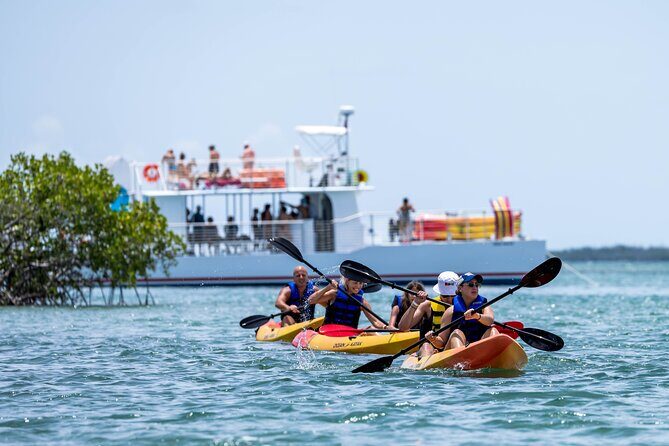Key West Hidden Sanctuary Mangrove Kayak Tour With Drinks - Price and Value: Is $149.95 Reasonable for This Key West Day?