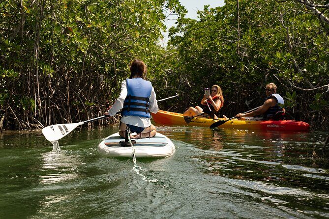 Key West Hidden Sanctuary Mangrove Kayak Tour With Drinks - Stop 1: Florida Keys National Marine Sanctuary for Close-Up Wildlife (About 1 Hour)
