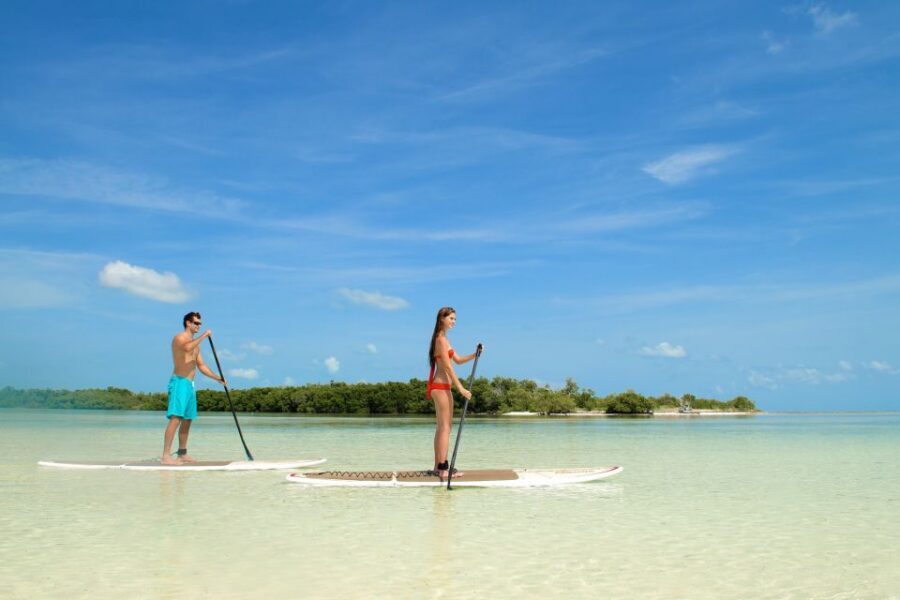 Key West: Island Adventure Sandbar Trip - Mangrove kayak tour: where the scenery gets a real story