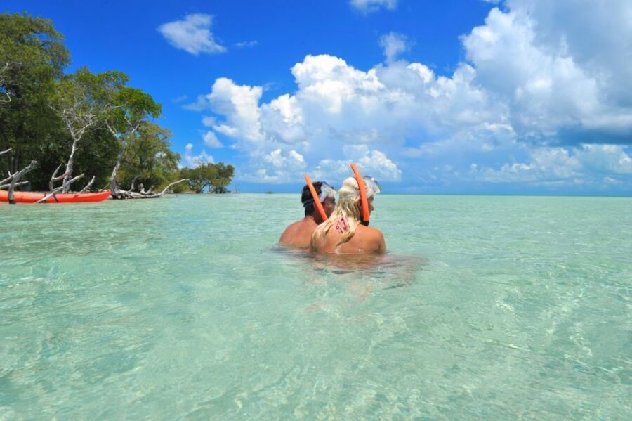 Key West: Island Adventure Sandbar Trip - Paddleboards and floats included: your low-key choices