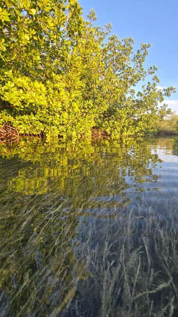 Key West: Kayak or Paddleboard Rental - Key West Kayak or Paddleboard on Geiger Key: The Core Experience