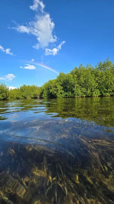 Key West: Kayak or Paddleboard Rental - The 2-Hour Paddle: How It Plays Out on the Water