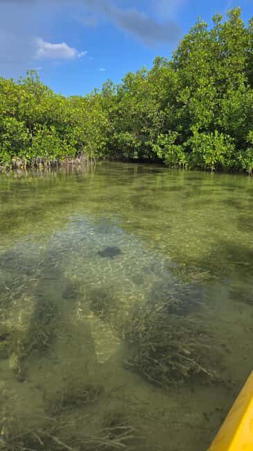 Key West: Kayak or Paddleboard Rental - Gear That Makes or Breaks It: Dry Bags, Sun Safety, and Clothing