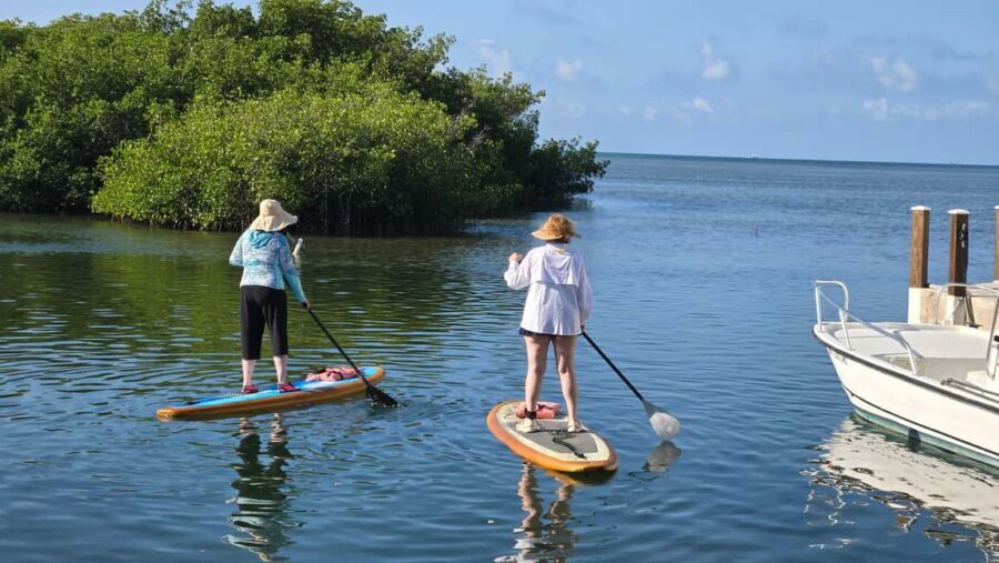 Key West: Kayak or Paddleboard Rental - Price and Value: Is $37 for 2 Hours a Good Deal?
