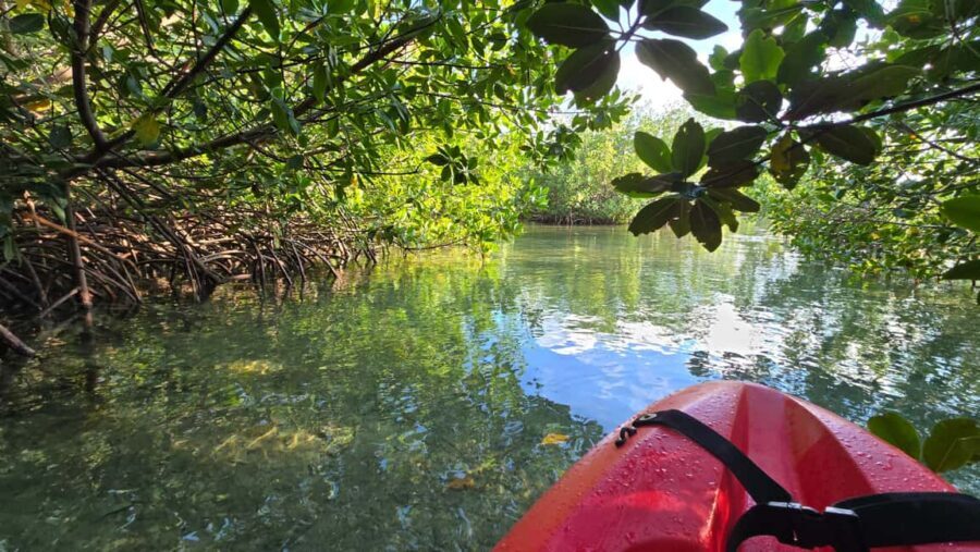 Key West: Kayak or Paddleboard Rental - Tips to Improve Your Time in Geiger Key