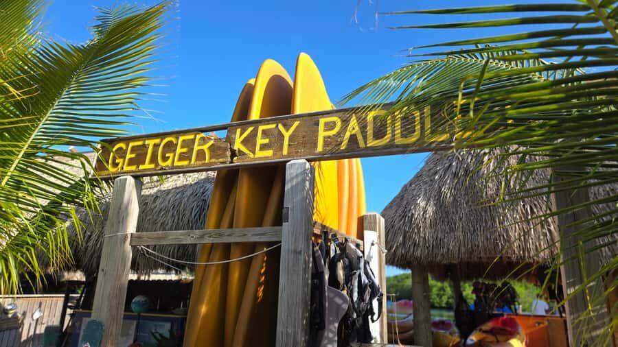 Key West: Mangrove Kayak or SUP Eco Tour - Key West Mangrove Kayak or SUP Eco Tour: Quick Hits