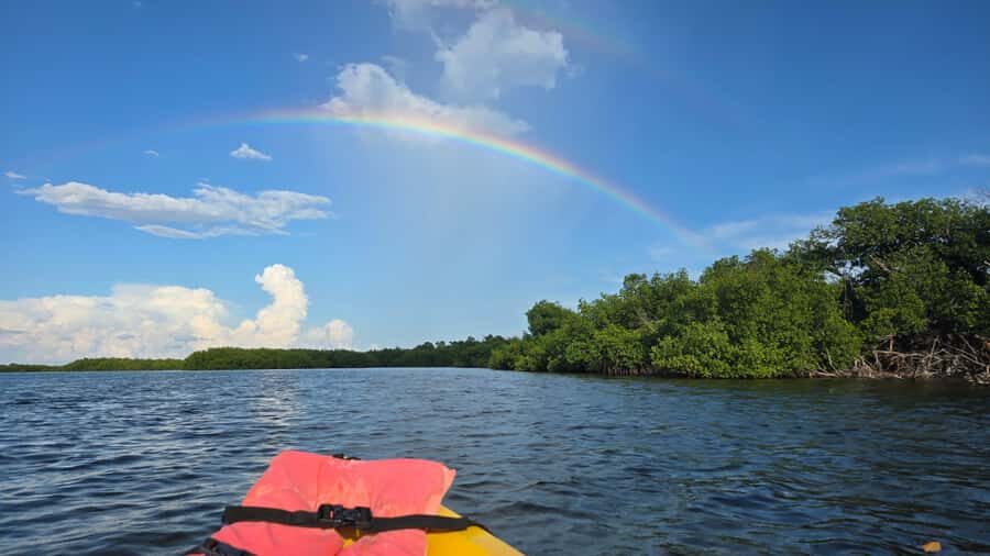 Key West: Mangrove Kayak or SUP Eco Tour - From Hotel Pickup to Geiger Key Start: How the Tour Really Runs