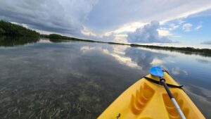 Key West: Mangrove Kayak or SUP Eco Tour - Two Hours Through the Mangroves: Kayak vs SUP and What You’ll Do on Water