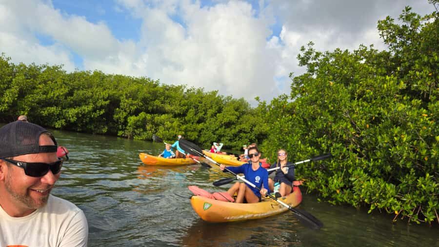 Key West: Mangrove Kayak or SUP Eco Tour - Marine Life Spotting in Key West: What You Can Expect to See