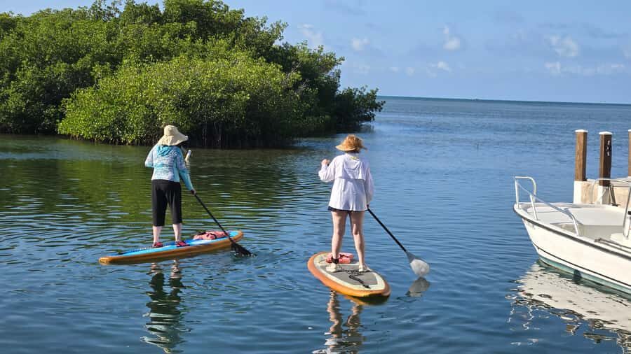 Key West: Mangrove Kayak or SUP Eco Tour - Pickup, Timing, and the 2-Person Small Group Advantage