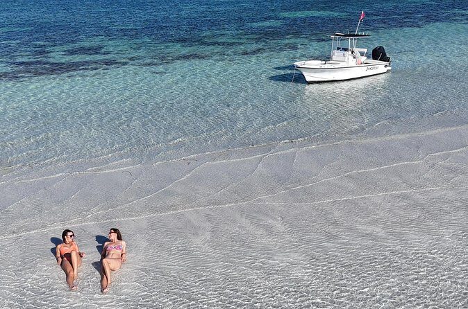 Key West Private 6-Person Sandbar & Snorkeling Charter - Snorkeling expectations: what you’re likely to see and how to prepare