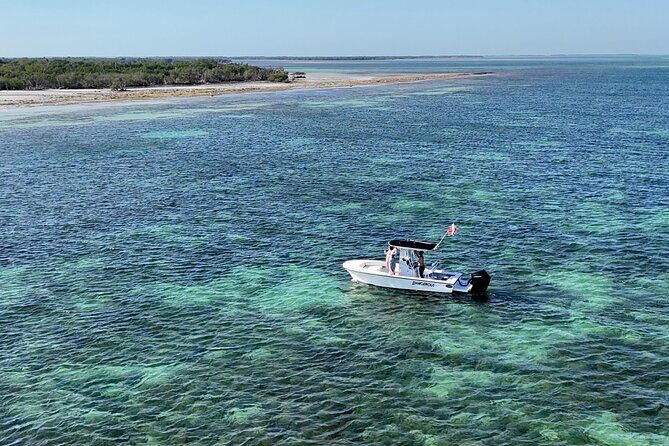 Key West Private 6-Person Sandbar & Snorkeling Charter - Price check: $749 for up to 6 people—when it’s worth it
