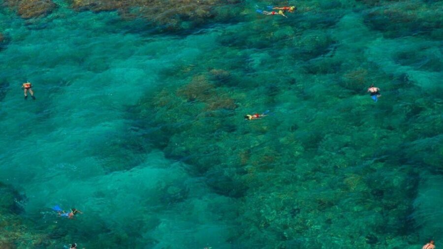 Key West: Reef Snorkeling with Drinks and Sunset Option - Key points to know before you go