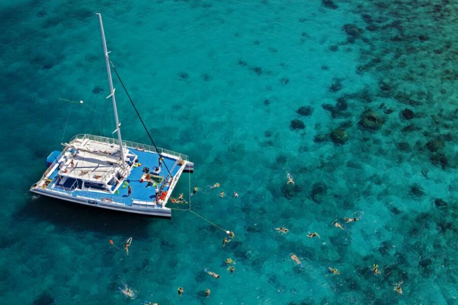 Key West: Reef Snorkeling with Drinks and Sunset Option - The Reef Plan: How the 30–60 Minute Snorkel Really Works