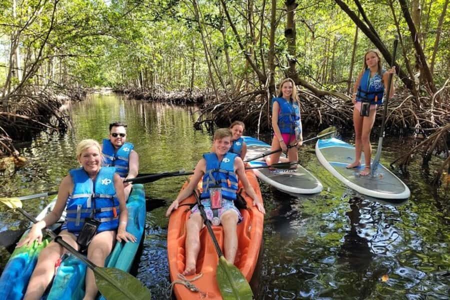 Mangrove Jungle exploration on SUP/Kayak - Key Things I’d Focus On Before You Go