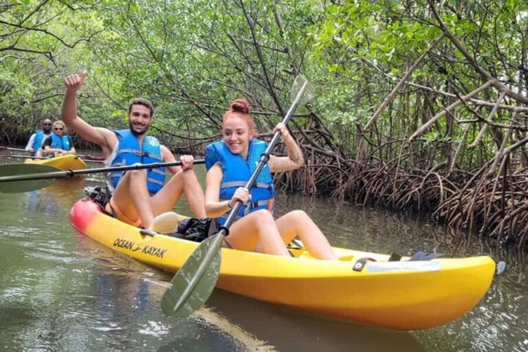 Mangrove Jungle exploration on SUP/Kayak - Before You Paddle: Safety Gear, Quick Intro, and What You’re Doing Once You’re On the Water