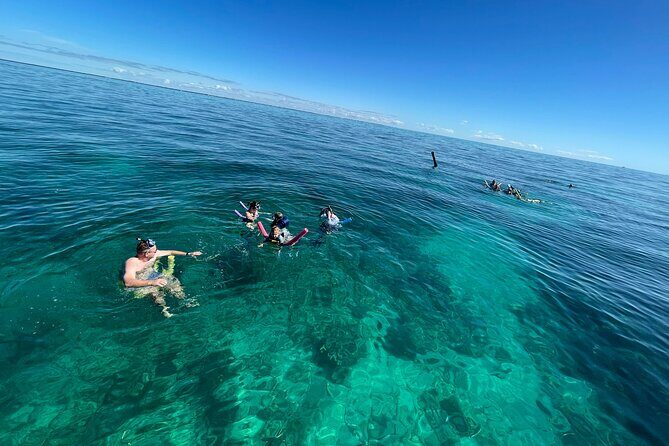 Marathon: COMBO- Snorkel & Sandbar (Coffins Patch Reef) - Crew on the Water: When Help Matters Most