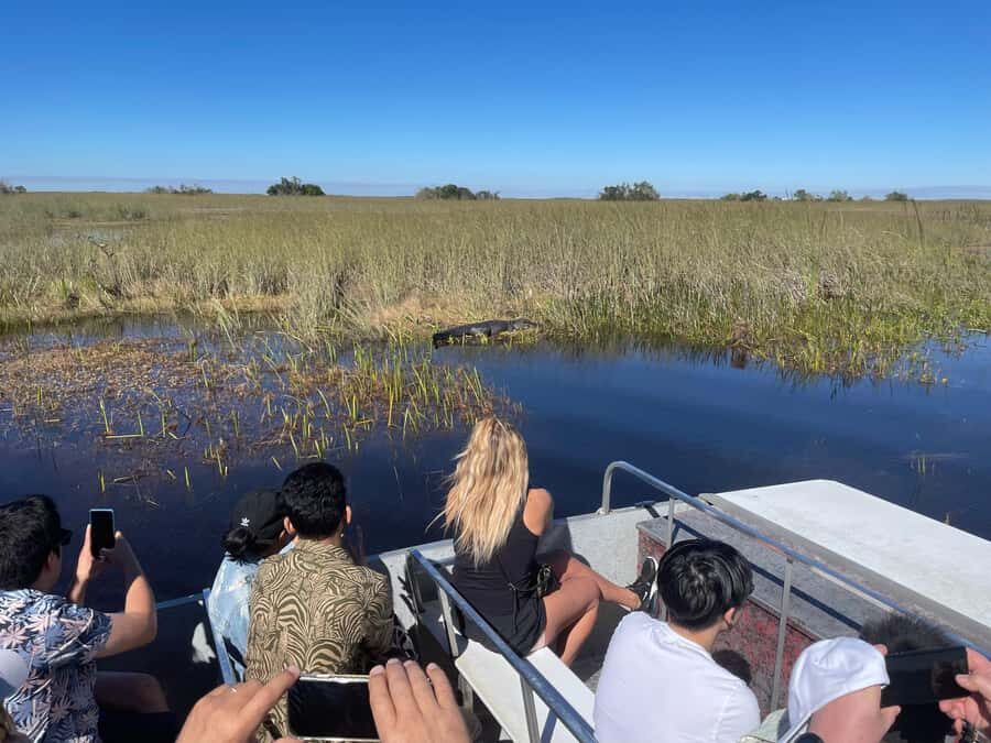 Miami: Alligator Spotting Airboat with Pick-Up/Drop-off - Key Highlights That Matter