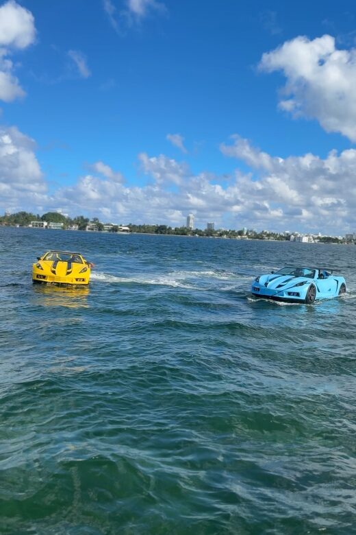 Miami Beach 1-HOUR JETCAR RIDE PLUS FREE 1-HOUR BOAT TOUR - Dolphins chance with early bookings