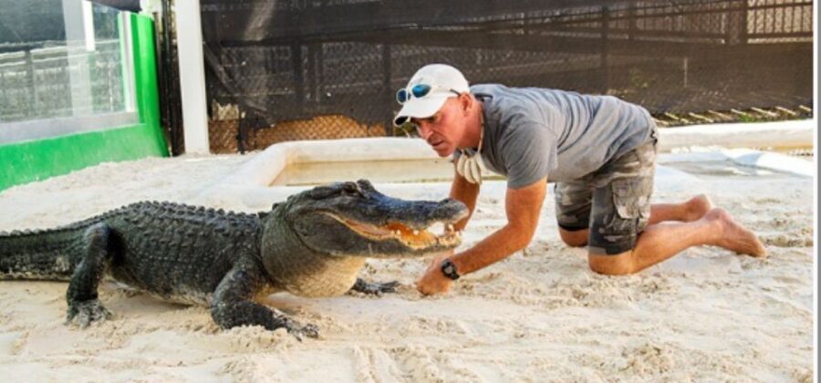 Miami Beach: Everglades Airboat Tours and Rides - Key things worth knowing