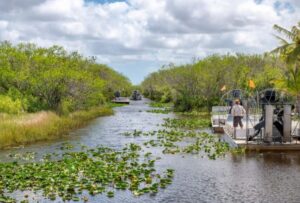 Miami Beach: Everglades Airboat Tours and Rides - Airboat ride through mangrove tunnels and marsh grass
