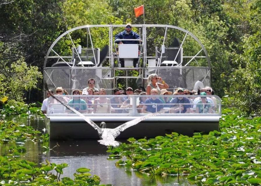 Miami Beach: Everglades Airboat Tours and Rides - Price check: what $75 includes and when it feels like a win