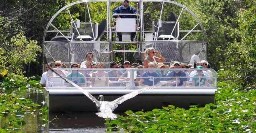 Miami Beach: Everglades Airboat Tours and Rides - One last note on timing and day-of expectations