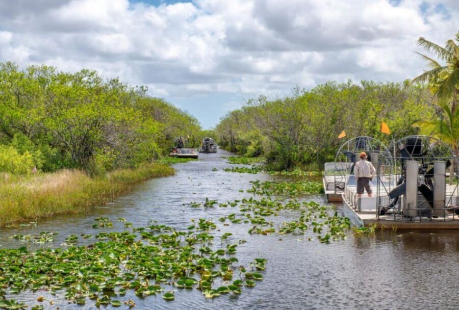 Miami Beach: Everglades Airboat Tours and Rides - Airboat ride through mangrove tunnels and marsh grass