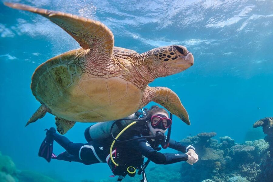 Miami Beach: Guided 2-Tank Reef and Wreck Dive Trip - What the pros do right, including the guide you might remember