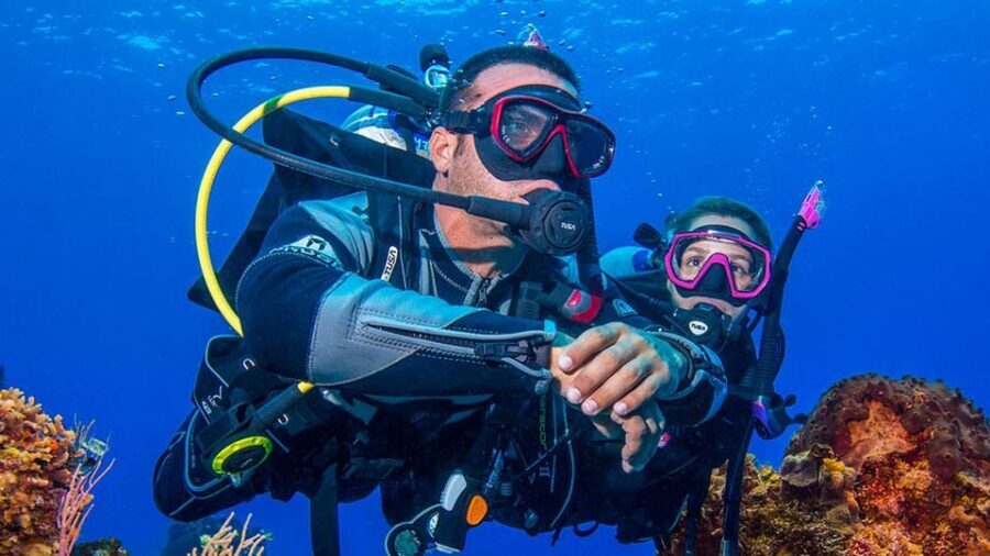 Miami Beach: Guided 2-Tank Reef and Wreck Dive Trip - Should you book the Miami Beach 2-tank wreck-and-reef trip?