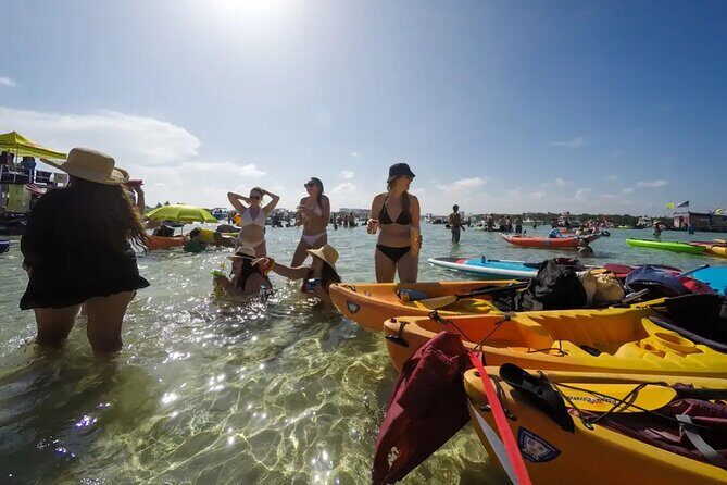 Miami Biscayne Bay Boat Tour with Sandbar Experience. - Bird Island: a calm stop built for spotting herons, pelicans, and egrets