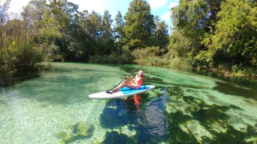Miami: Biscayne Bay Ultimate Boat Tour with Kayak Experience - Mangrove Kayaking at Sandspur Island: The Calm That Feels Like Another Planet