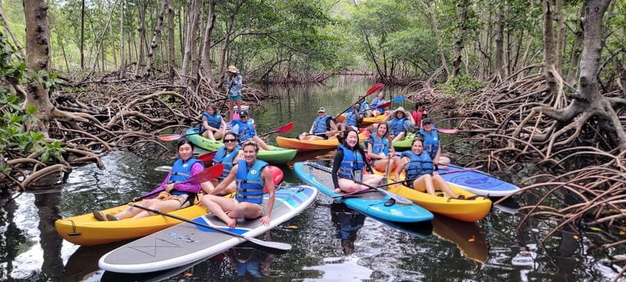 Miami: Biscayne Bay Ultimate Boat Tour with Kayak Experience - Wildlife Chances: How the Crew Improves Your Odds