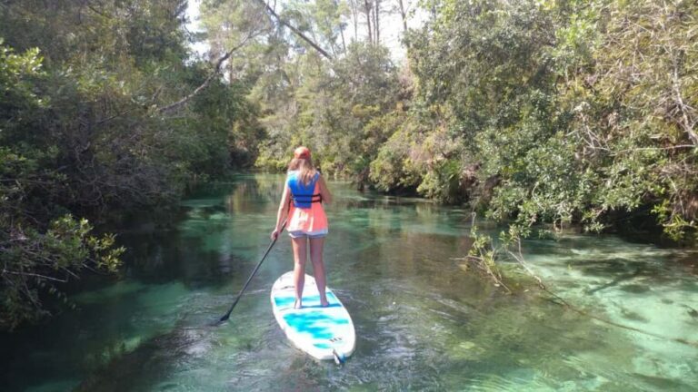 Miami: Biscayne Bay Ultimate Boat Tour with Kayak Experience - Boat Cruise Through Biscayne Bay: Views, Wildlife, and Conservation Talk