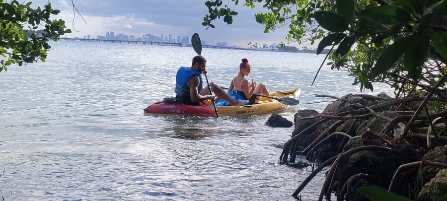 Miami: Biscayne Bay Ultimate Boat Tour with Kayak Experience - Price and Value: Why $99 Feels Reasonable for This Much Water Time