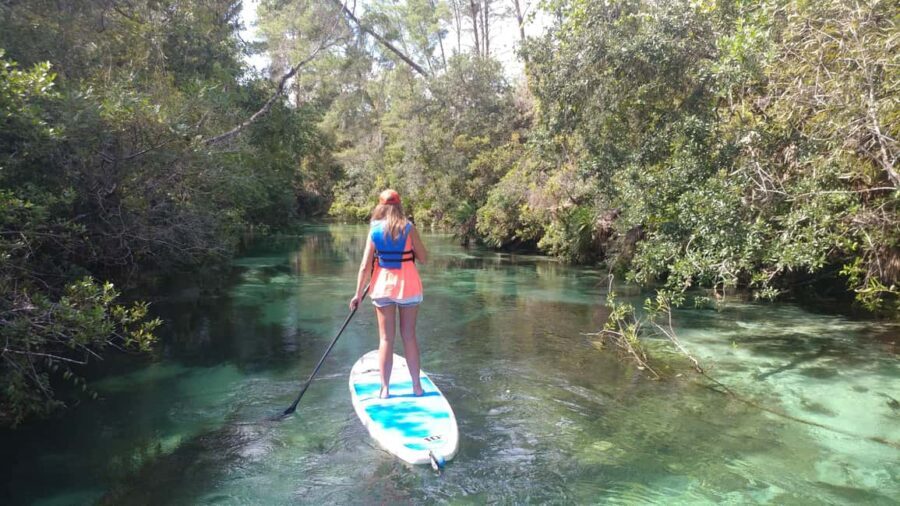 Miami: Biscayne Bay Ultimate Boat Tour with Kayak Experience - Boat Cruise Through Biscayne Bay: Views, Wildlife, and Conservation Talk