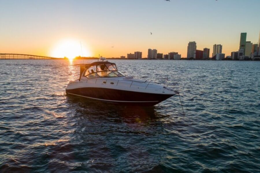 Miami: BYOB Private Yacht Cruise Play Your Own Music - Check-in and what to bring (ID, cash, and simple readiness)