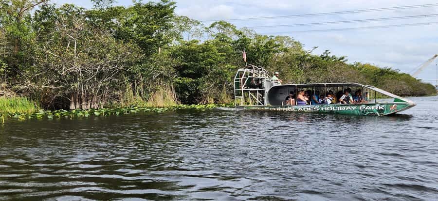 Miami: Everglades Airboat, Gator Encounter & Bus Transfer - From Downtown Miami to the Everglades in One Morning