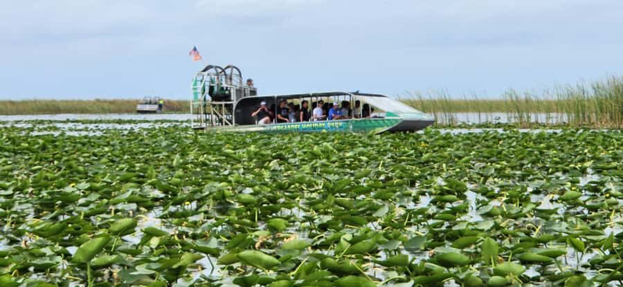 Miami: Everglades Airboat, Gator Encounter & Bus Transfer - Who This Works Best For (and Who Should Skip It)