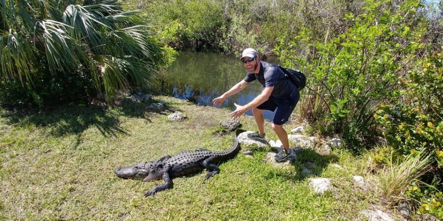 Miami: Everglades Airboat Ride and Tram Tour - Everglades Safari Park airboat: official concession, guided viewing, and that adrenaline factor