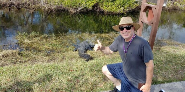 Miami: Everglades Airboat Ride and Tram Tour - Shark Valley Tram Tour: 15 miles, wildlife stops, and the lookout tower view
