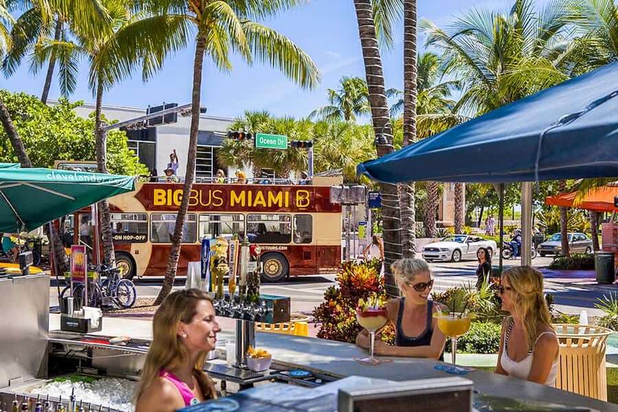 Miami: Everglades Experience, Bay Cruise & Open-Top Bus Tour - Key highlights that make this combo worth your time