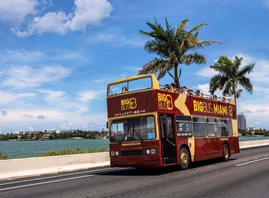 Miami: Everglades Experience, Bay Cruise & Open-Top Bus Tour - Who this is best for (and who should skip the combo)