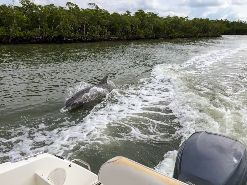 Miami: Everglades Full-Day Tour with 2 Boat Trips and Lunch - From Miami Pickup to the Park Gate: What You’ll Learn Enroute