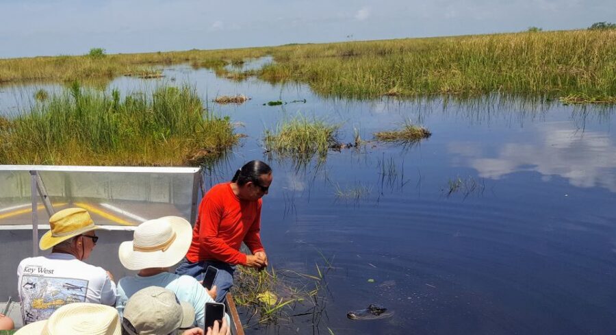 Miami: Everglades Full-Day Tour with 2 Boat Trips and Lunch - The Cypress Dome Walk: Where Plants and Reptiles Share the Same Stage