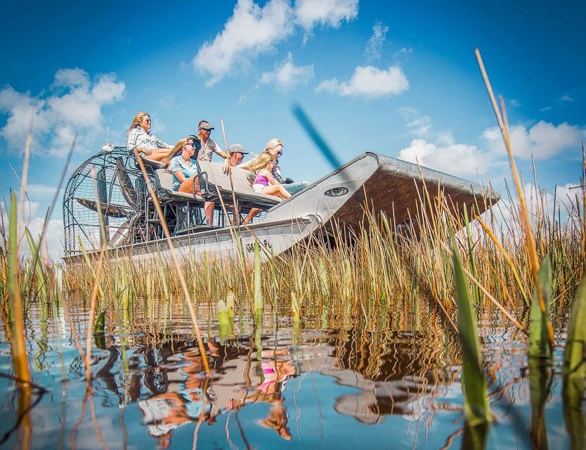 Miami: Everglades National Park Airboat Tour & Wildlife Show - In-between stops: quick wildlife viewing moments that break up the day