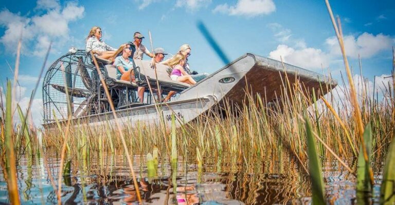 Miami: Everglades National Park Airboat Tour & Wildlife Show - Everglades airboat time: sawgrass “River of Grass” in fast-forward