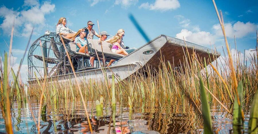 Miami: Everglades National Park Airboat Tour & Wildlife Show - Everglades airboat time: sawgrass “River of Grass” in fast-forward